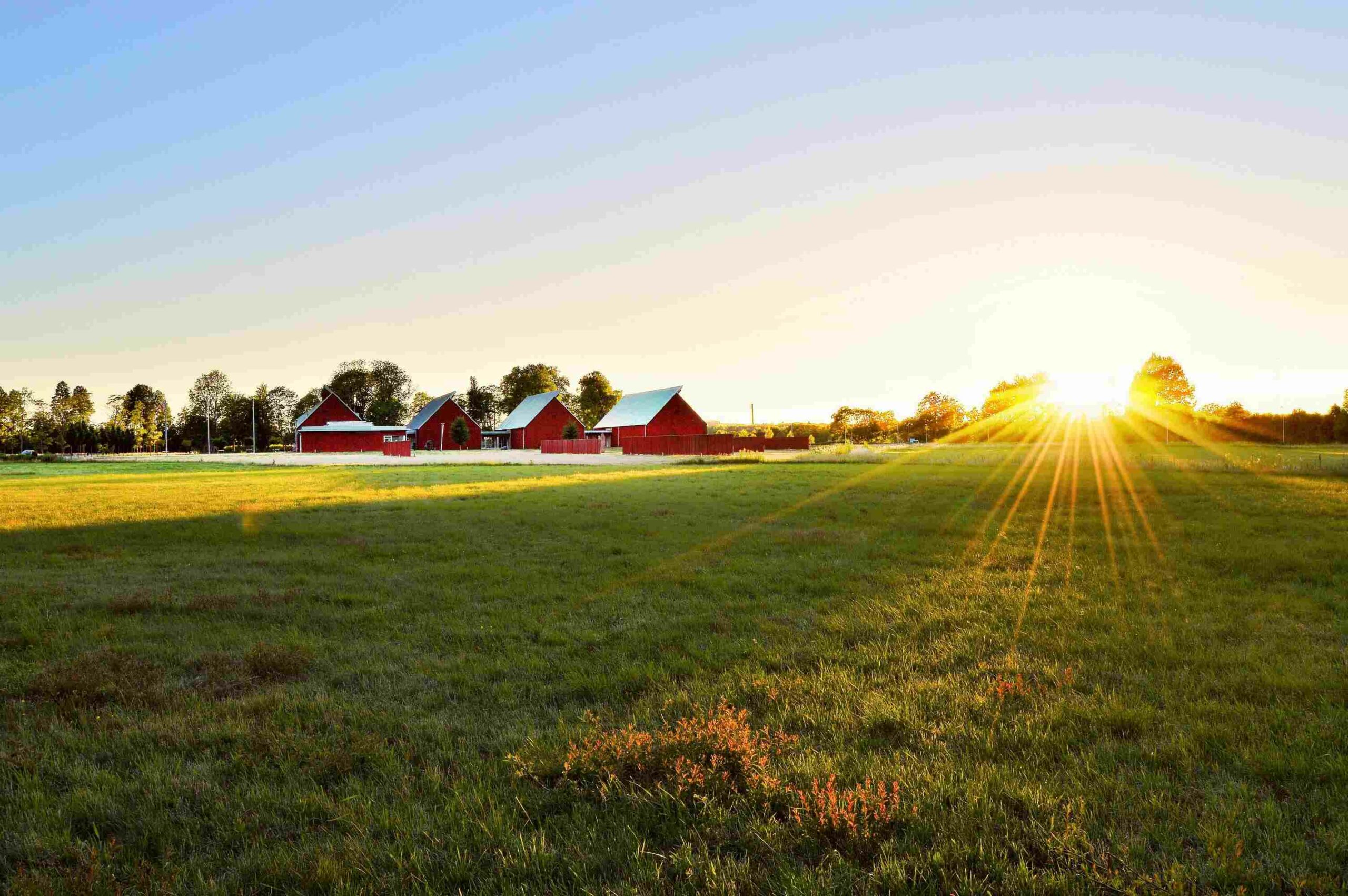 Foto von Jonathan Petersson: https://www.pexels.com/de-de/foto/grunes-grasfeld-in-der-nahe-von-hausern-1198507/