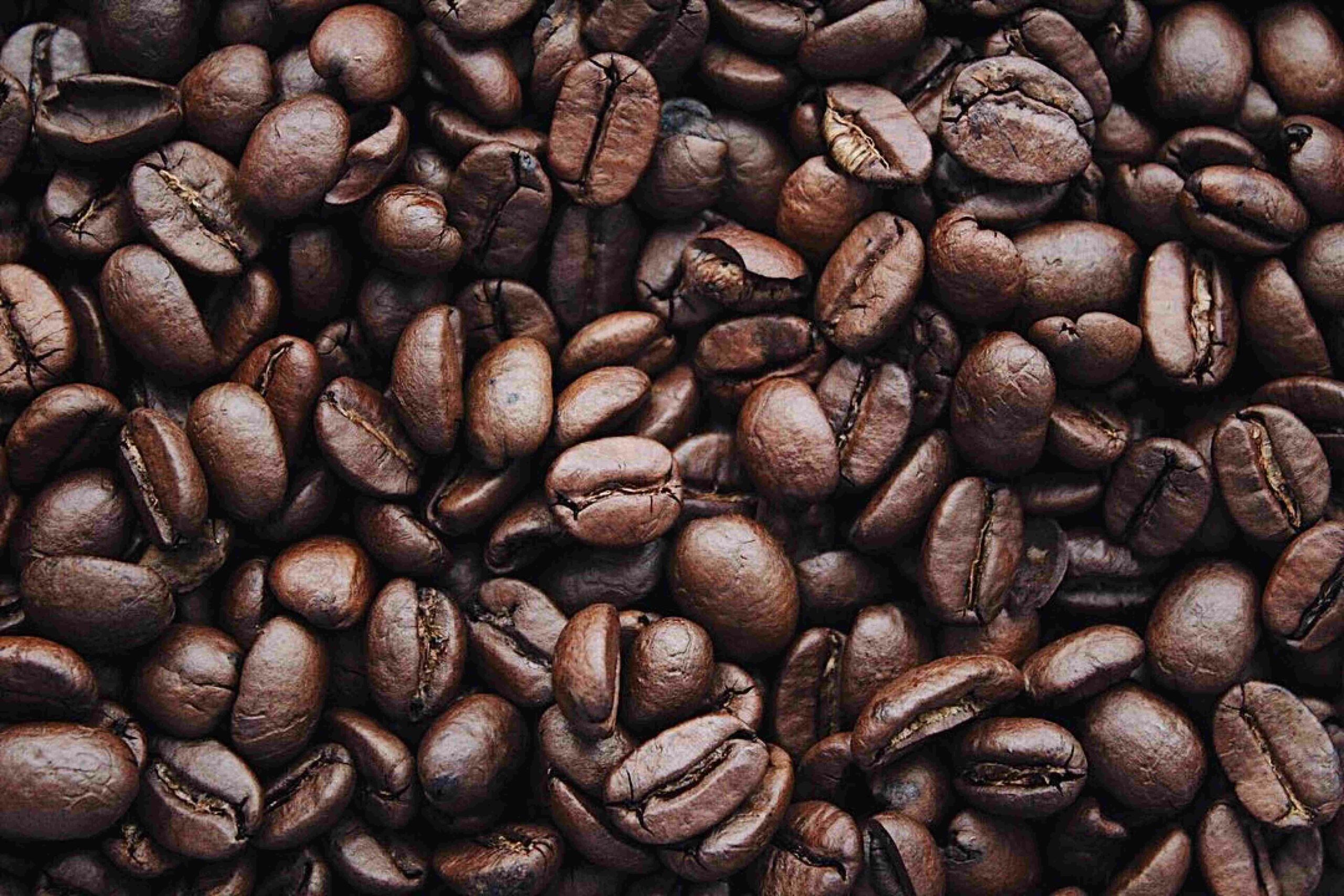 Foto von Igor Haritanovich: https://www.pexels.com/de-de/foto/kaffeebohnen-1695052/